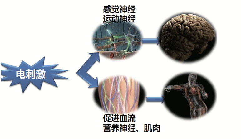 菲兹曼 PHYSIOMED 中低频治疗仪 vocaSTIM-Trainer产品优势