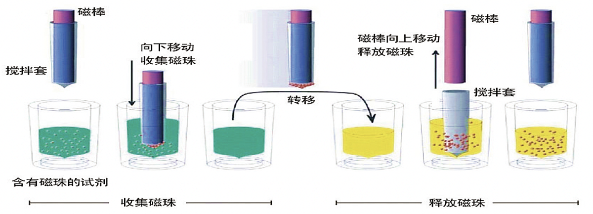 硕世  全自动核酸提取仪   SSNP-2000B产品优势