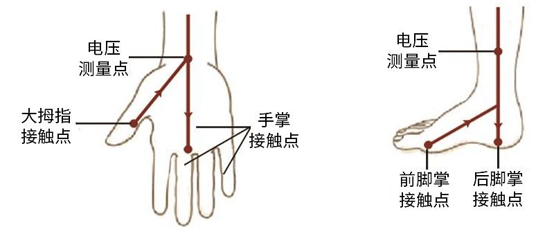 汇医融工HYRG 人体成分分析仪 BC care 830产品细节