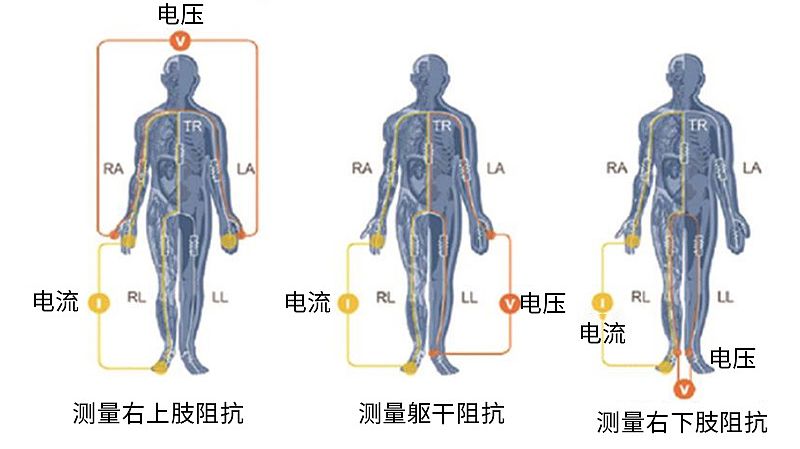 汇医融工HYRG 人体成分分析仪 BC care 830产品细节