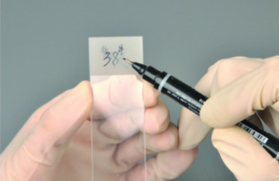 江苏世泰 载玻片 单头单面蒙砂 45°角 1A5105 (50片/盒  50盒/箱)产品细节