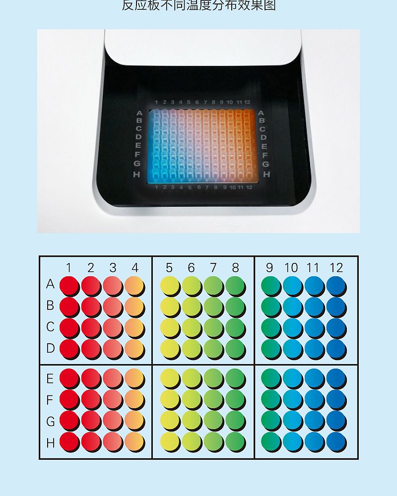 雅睿PCR_04.jpg