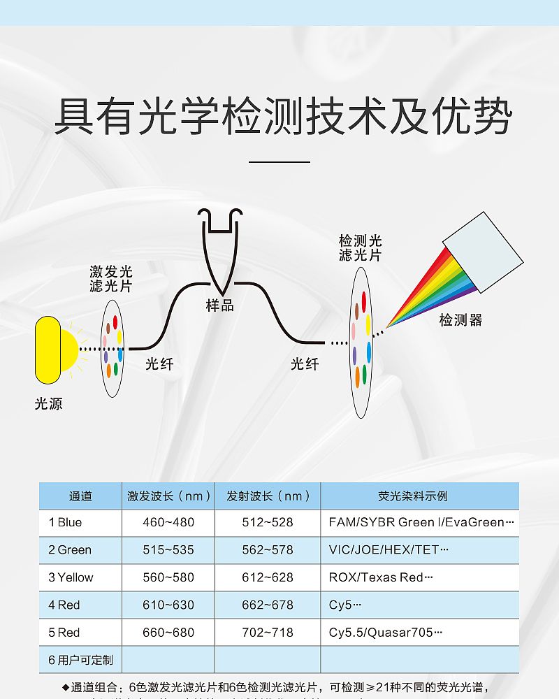 雅睿PCR_05.jpg