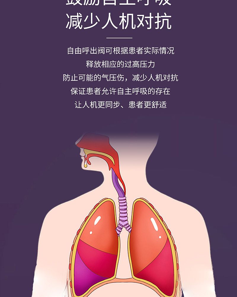 呼吸机BOARAY-3000D-C_05.jpg