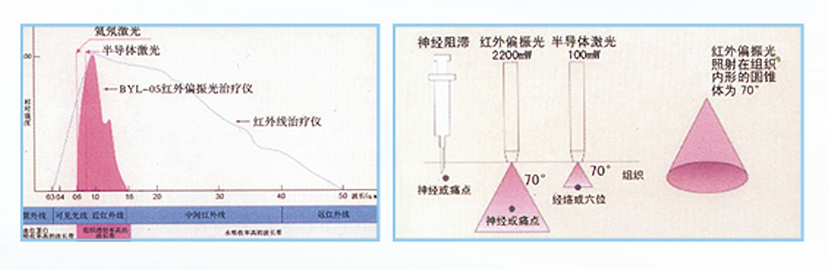 博华 红外偏振光治疗仪 BHP-L11A产品细节