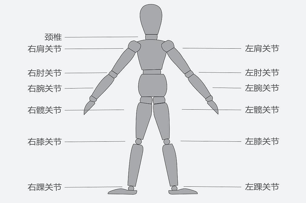 龙之杰 Longest 虚拟情景互动训练系统 BioMaster产品参数