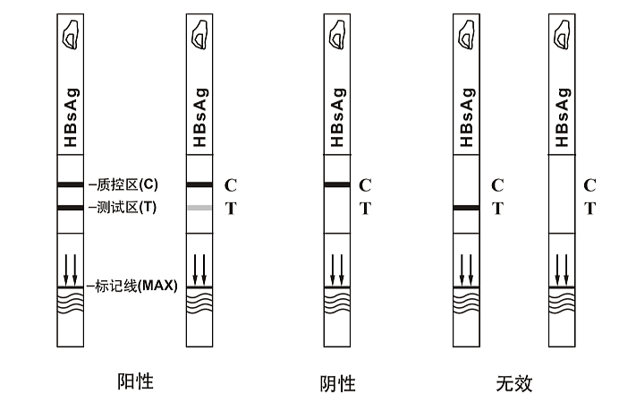 艾博生物 乙型肝炎病毒表面抗原（HBsAg）检测试剂（乳胶法） 100人份/盒使用方法