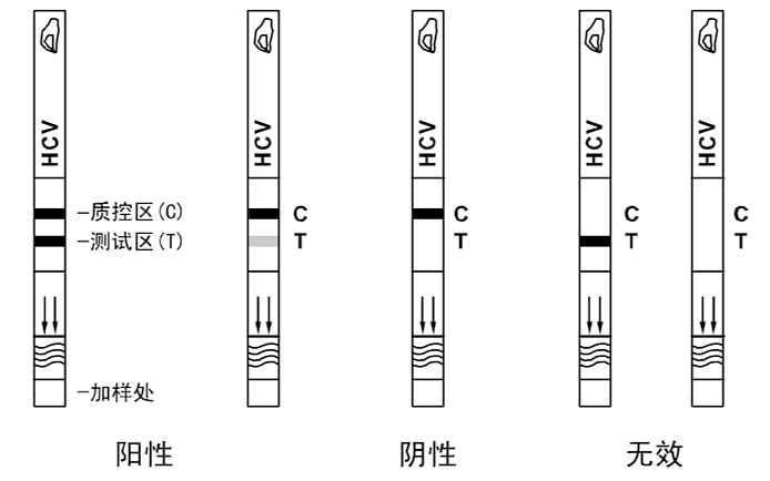 艾博生物 丙型肝炎病毒抗体检测试剂（胶体金法） 板型40人份/盒使用方法