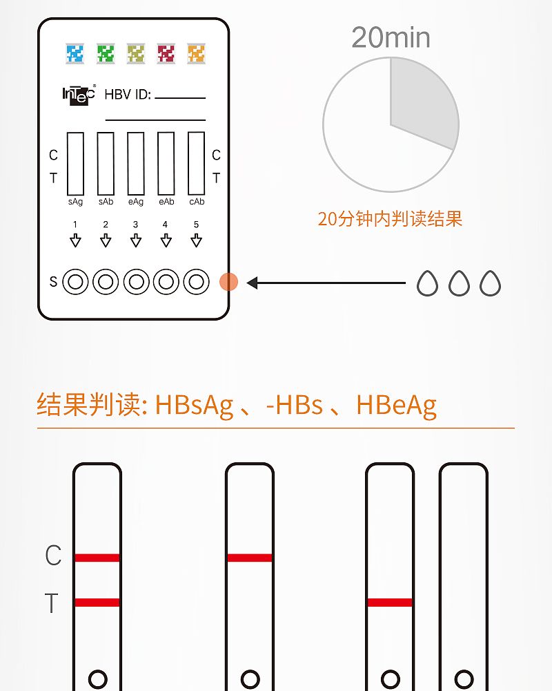 乙肝检测_07.jpg