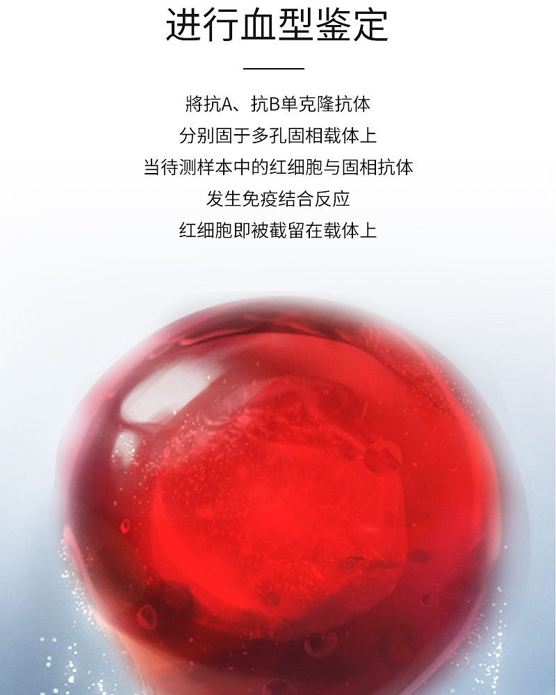 血型正定型及_04.jpg