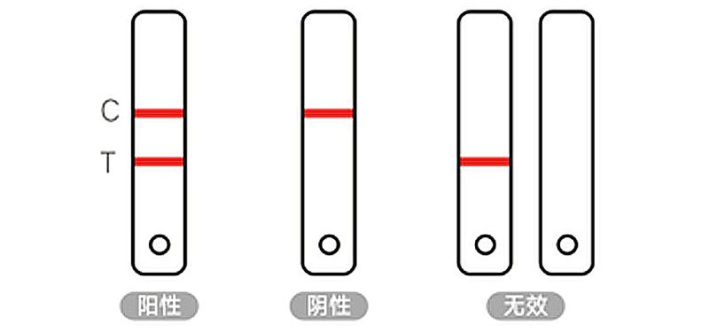 英科新创Intec 乙型肝炎病毒表面抗体（胶体金法） 条形100人份/盒使用方法