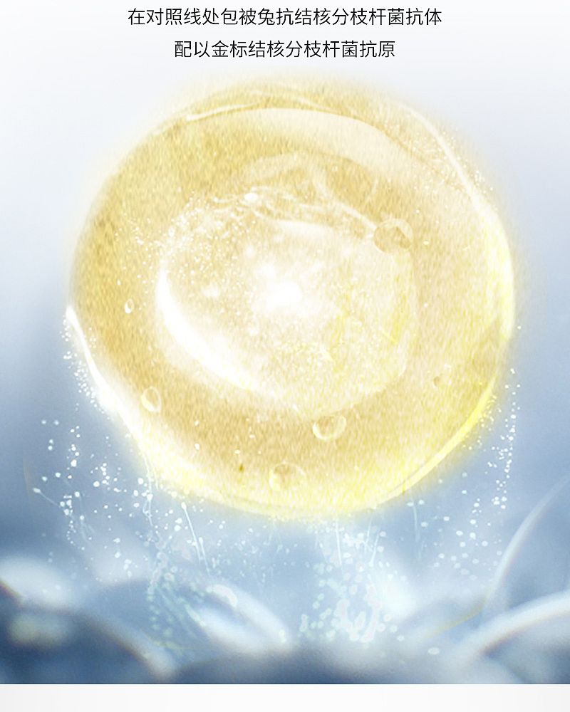 结核检测_03.jpg