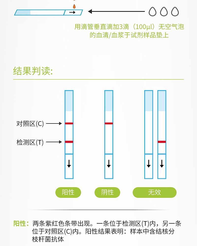 结核检测_05.jpg