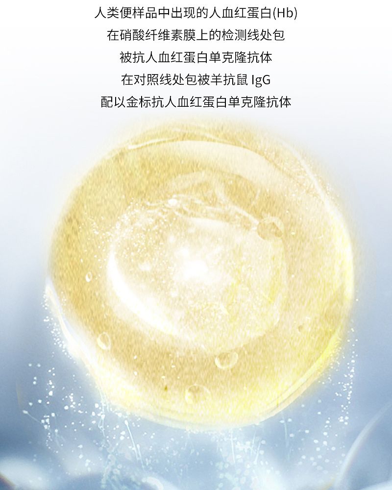 便隐血检测_04.jpg