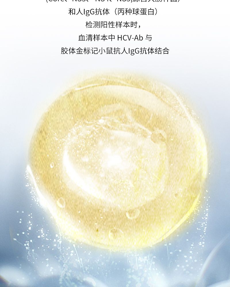 丙肝检测_04.jpg