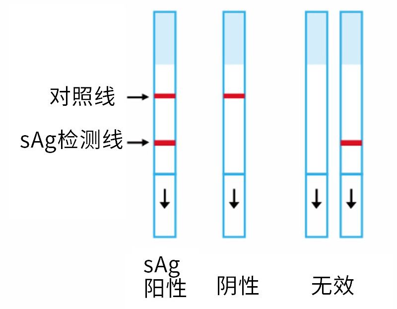 英科新创Intec 乙型肝炎病毒表面抗原检测试剂盒 条形：100人份/盒产品细节