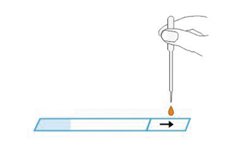 英科新创 Intec 梅毒螺旋抗体检测试剂盒 条式100T/盒使用方法