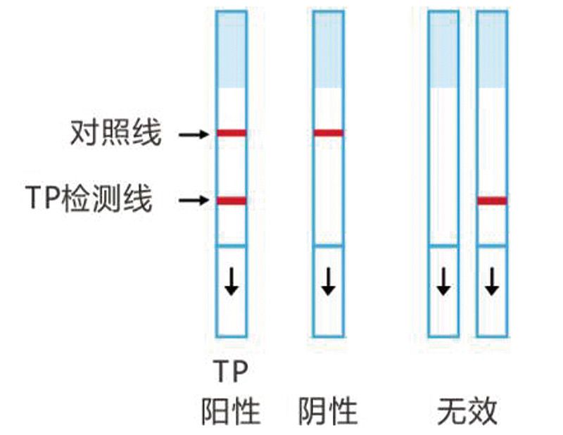 英科新创 Intec 梅毒螺旋抗体检测试剂盒 条式100T/盒使用方法