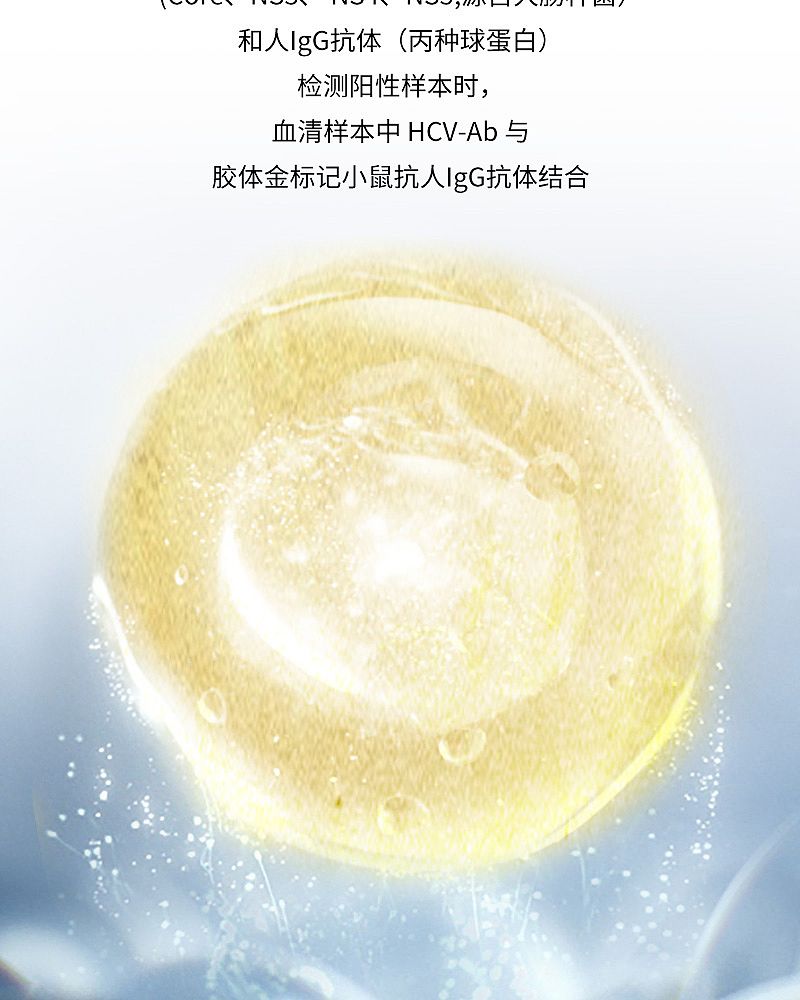 丙型肝炎病毒抗体检测试剂40T_04.jpg