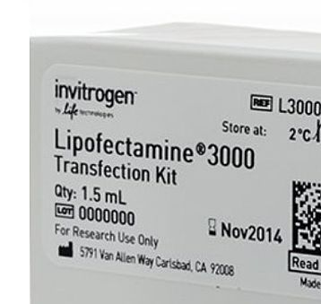 Invitrogen Lipofectamine™ 3000 Transfection Reagent 1.5 mL  L3000015产品优势