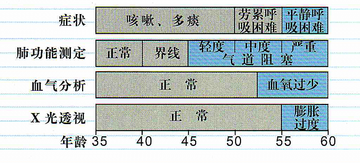 CHEST捷斯特 肺功能仪 HI-101产品细节