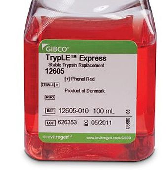 Gibco TrypLE™ Express 酶(1X), 含酚红 100 mL 12605010产品优势