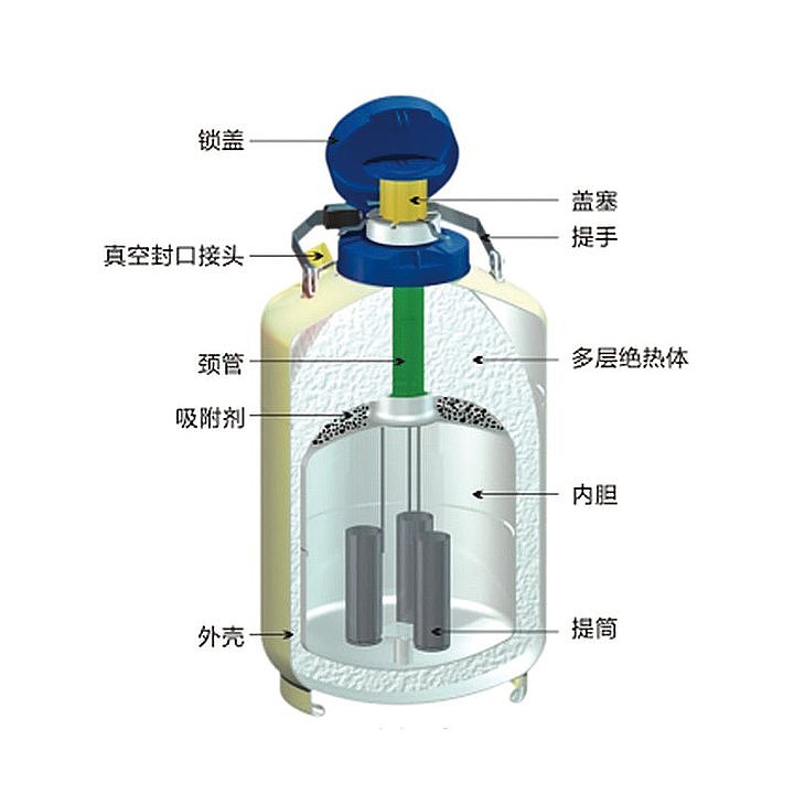 金凤  液氮型液氮生物容器 YDS-6L产品结构