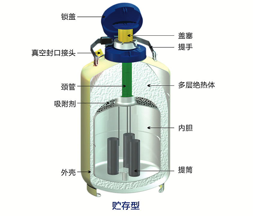 金凤 液氮转移罐 YDS-30L产品结构