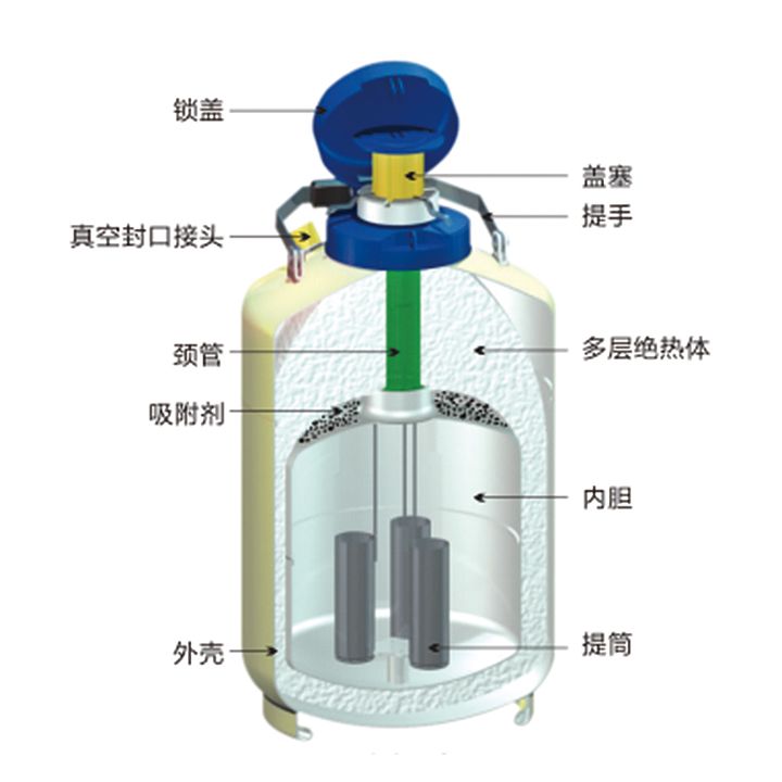 金凤 液氮生物容器贮存型 YDS-20产品结构