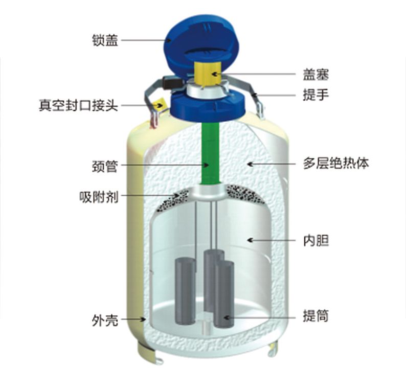 金凤 液氮生物容器贮存型 YDS-35-125优等品产品结构