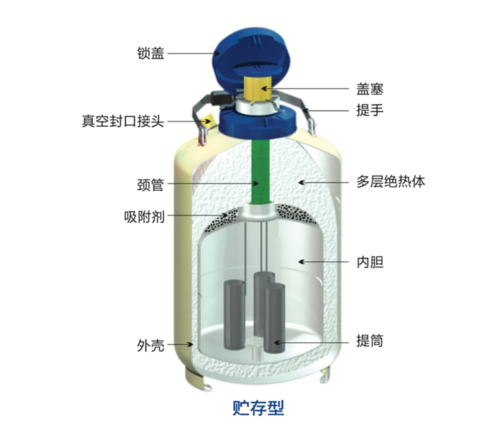 金凤 液氮生物容器贮存型  YDS-30-200优等品产品细节