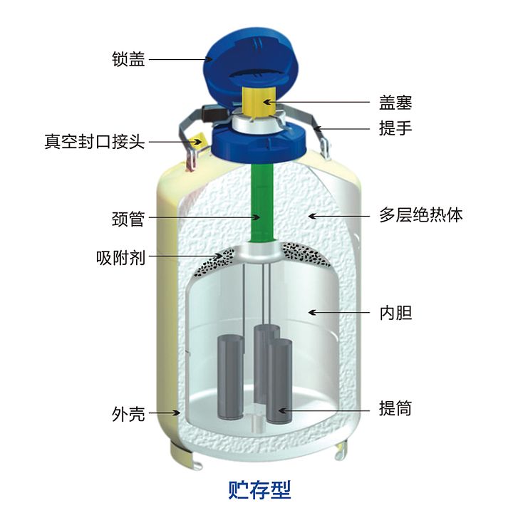 金凤 液氮生物容器贮存型 YDS-30优等品产品细节