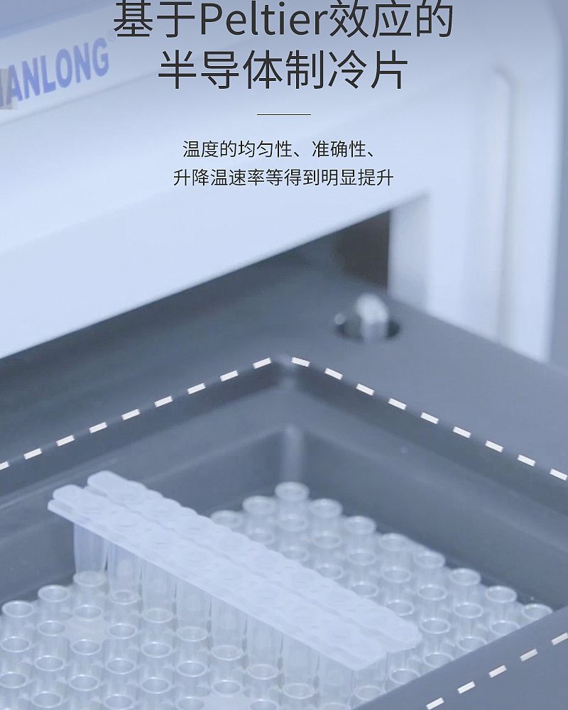 天隆PCR_05.jpg