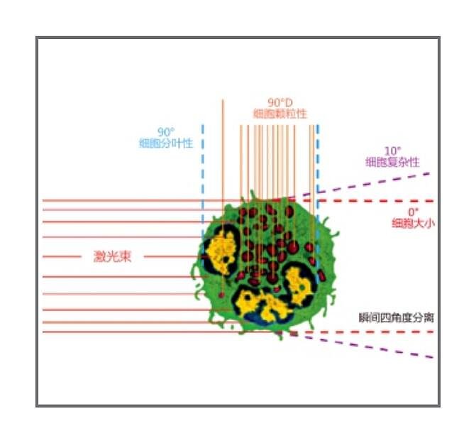 优利特 URIT 全自动血液分析仪 BH-5391产品优势