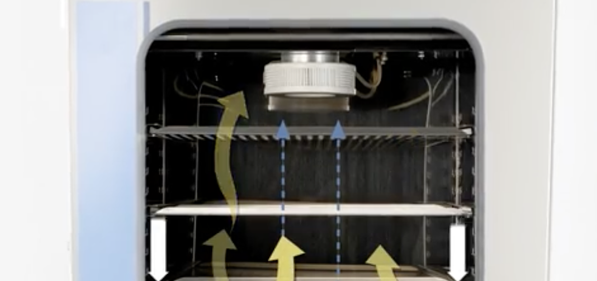 赛默飞世尔 Thermo 二氧化碳培养箱CO2 Incubator 3131产品优势