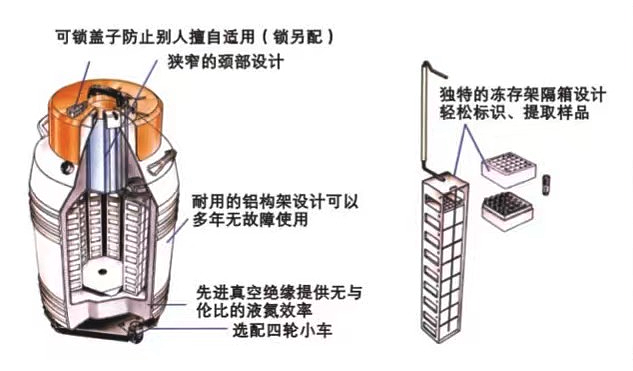 赛默飞世尔 Thermo    液氮罐      CY50935-70产品结构