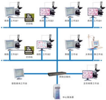 病理影像网络系统