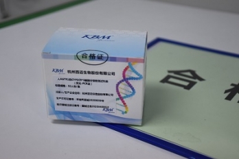 人AGTR1和CYP2C9*3基因分型检测试剂盒(荧光-PCR法)