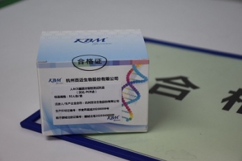人ACE基因分型检测试剂盒（荧光-PCR法）