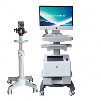 供应皮肤毛发显微检测仪 /皮肤毛发显微镜/手持放大镜